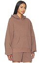 view 2 of 4 Briggs Hoodie in Mocha