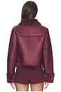 view 4 of 5 BLOUSON SHANI in Oxblood