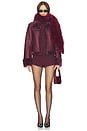 view 5 of 5 BLOUSON SHANI in Oxblood