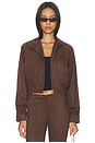 view 2 of 5 CHAQUETA AYLA in Brown