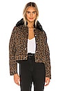 view 1 of 5 BLOUSON PRESSIONNÉ CICI in Leopard