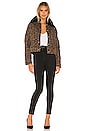 view 5 of 5 BLOUSON PRESSIONNÉ CICI in Leopard