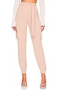 view 1 of 4 Rachel Cargo Pant in Nude