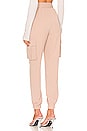 view 3 of 4 Rachel Cargo Pant in Nude