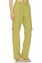view 2 of 4 Stephanie Cargo Pant in Green