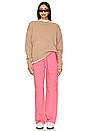 view 5 of 5 Beck Cargo Pant in Hot Pink
