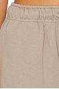 view 6 of 6 Branka Sweatpant in Taupe