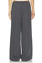 view 4 of 6 Merritt Drawstring Pant in Grey & White Stripe