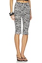 view 2 of 6 PANTALÓN LUCIA in Zebra