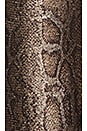 view 5 of 5 PANTALON TAILLE HAUTE DARLA in Snake