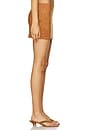 view 3 of 6 Delphi Skirt in Tan