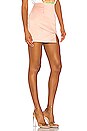 view 2 of 4 DILLION ミニスカート in Blush