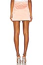 view 3 of 4 DILLION ミニスカート in Blush