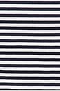 view 4 of 4 Serafina Short Set in Navy Stripe