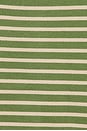 view 5 of 5 SET SHORTS ANNELI  in Green Stripe