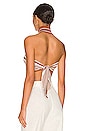 view 3 of 4 Kiara Backless Crop Top in Striped Brown