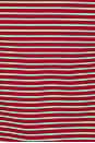 view 5 of 5 Bronin Top in Red Stripe