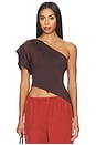 view 1 of 4 Marlene Asymmetrical Top in Brown