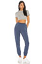 view 4 of 4 Tabatha Crop Top in Grey