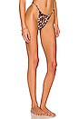 view 2 of 4 BAS DE MAILLOT DE BAIN CHANTELLE in Leopard