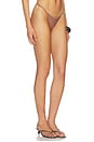 view 2 of 5 Xena Bikini Bottom in Brown