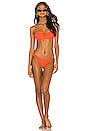 view 4 of 4 x Chantel Jeffries Celine Bikini Top in Orange
