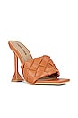 view 2 of 5 Daisy Heel in Brown