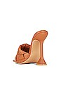 view 3 of 5 Daisy Heel in Brown