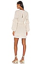view 3 of 4 Lola Tunic Dress in Biscuit