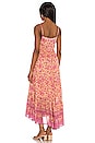 view 3 of 3 Folk Song Sundress in Blossom