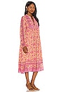 view 2 of 3 Folk Song Boho Dress in Blossom