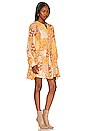 view 2 of 3 Freda Boho Mini Dress in Amber