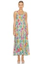 view 1 of 3 Bohme Strappy Maxi Dress in Spring