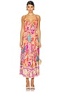 view 1 of 3 Painters Garden Strappy Maxi Dress in Crimson