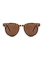 view 1 of 3 GAFAS DE SOL TEDDYBOY in Tortoise & Brown