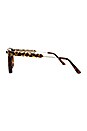 view 3 of 3 GAFAS DE SOL TEDDYBOY in Tortoise & Brown