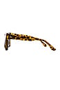 view 3 of 3 GAFAS DE SOL COCO in Tortoise Shell & Black