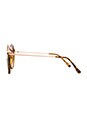 view 3 of 3 GAFAS DE SOL A-TEEN in Tortoise Shell & Gold