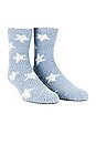 view 1 of 1 Lounge Socks in Celestial Blue Star