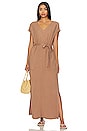 view 1 of 3 Evian Maxi Dress in Ash Brown