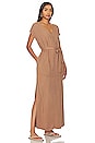view 2 of 3 Evian Maxi Dress in Ash Brown