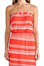 view 5 of 5 Safari Stripe Strapless Maxi Dress in Paprika