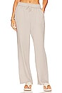 view 1 of 4 Noah Full Length Pant in Fawn