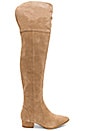 view 1 of 5 BOTTES AU DESSUS DU GENOU RUBY in Light Taupe