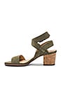 view 5 of 5 Kayman Sandal in Fern