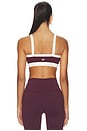 view 3 of 4 Monah Rigor Sports Bra in Dark Cherry & Creme