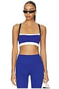 view 1 of 4 Monah Rigor Bra in Cobalt & Black