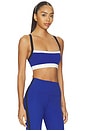 view 2 of 4 Monah Rigor Bra in Cobalt & Black