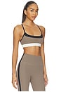 view 2 of 4 Scottie Airweight Bra in Lentil & Black