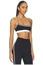 view 2 of 4 Scottie Airweight Bra in Black & Lentil